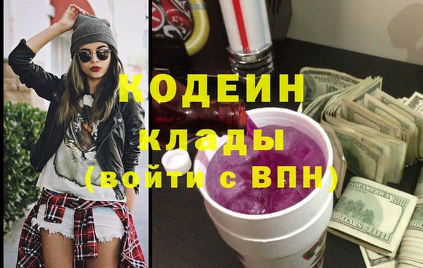 дмт Кодинск
