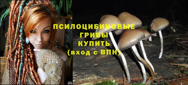 герыч Козловка