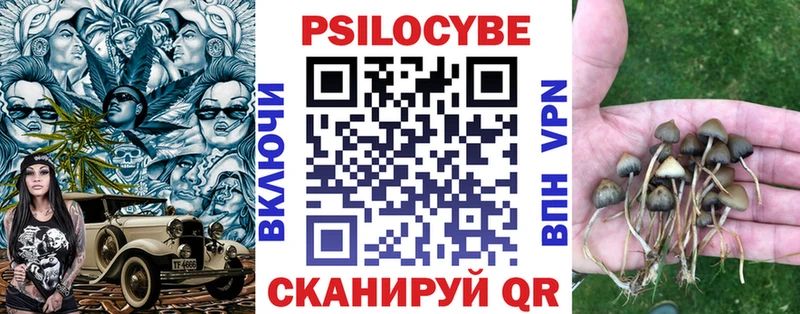 Купить где  Армянск  Псилоцибиновые грибы MAGIC MUSHROOMS 